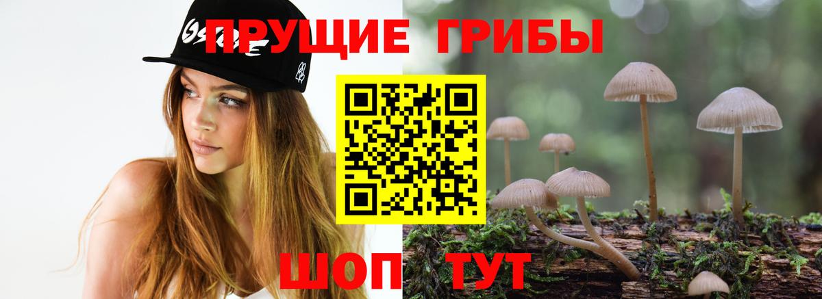 Петропавловск-Камчатский  Галлюциногенные грибы Magic Shrooms  Вход с VPN 